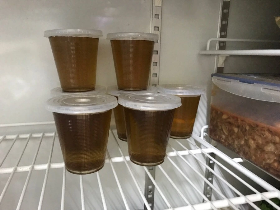 IMG_8278.jpg?type=w966