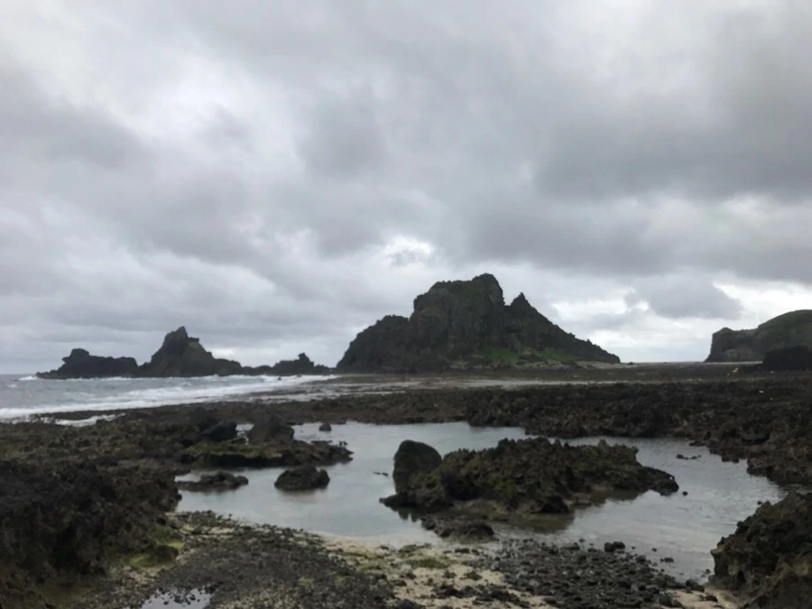 IMG_1625.jpg?type=w966