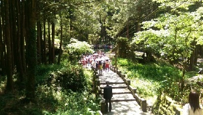 IMAG4894.jpg?type=w773