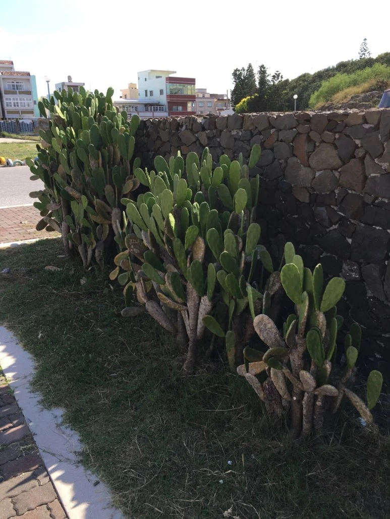 attachImage_644294212.jpeg?type=w773