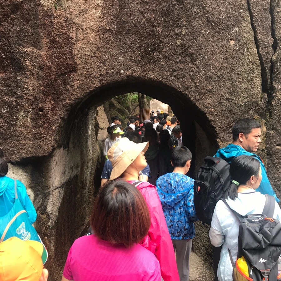 IMG_0875.jpg?type=w966