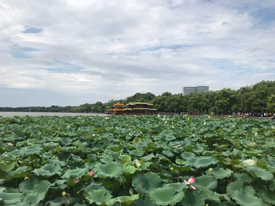 IMG_0557.jpg?type=w966