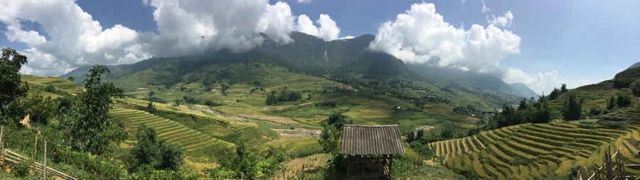 IMG_3564.JPG?type=w1