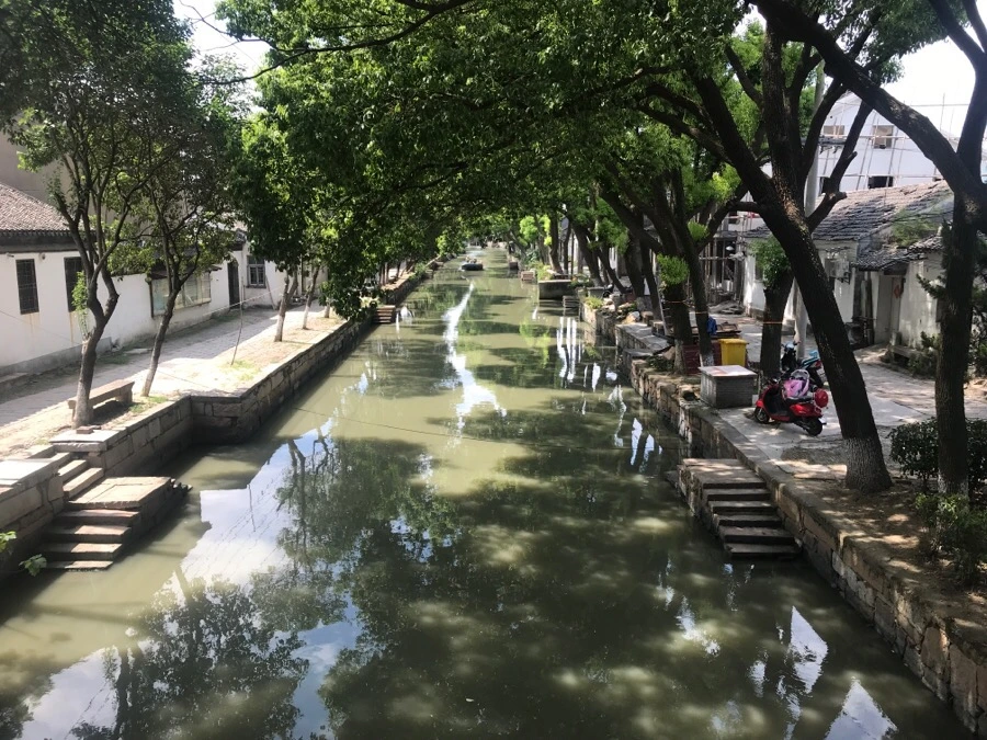 IMG_1415.jpg?type=w1