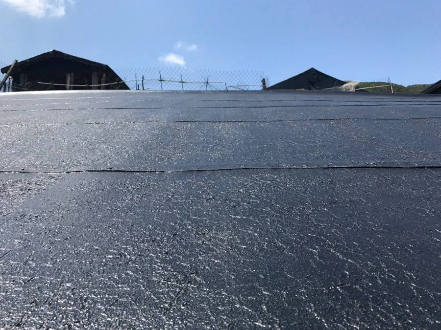 IMG_3897.jpg?type=w966