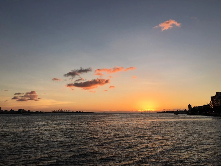 attachImage_3656361055.jpeg?type=w966