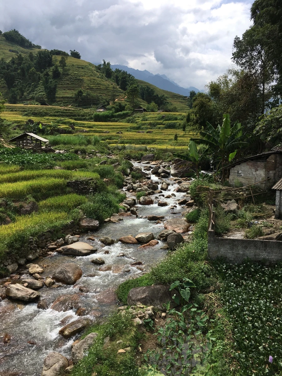 IMG_3406_Original.JPG?type=w1