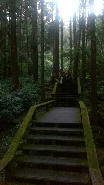 IMAG4830.jpg?type=w773