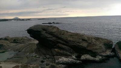 IMAG5718.jpg?type=w773