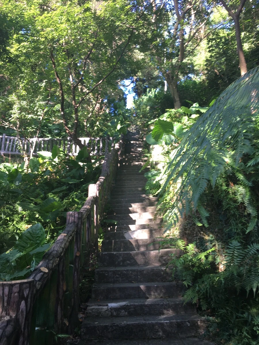 attachImage_3072109067.jpeg?type=w966