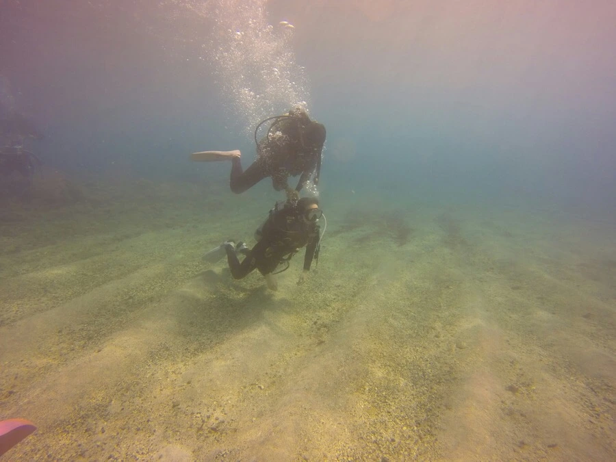 IMG_3610.jpg?type=w966