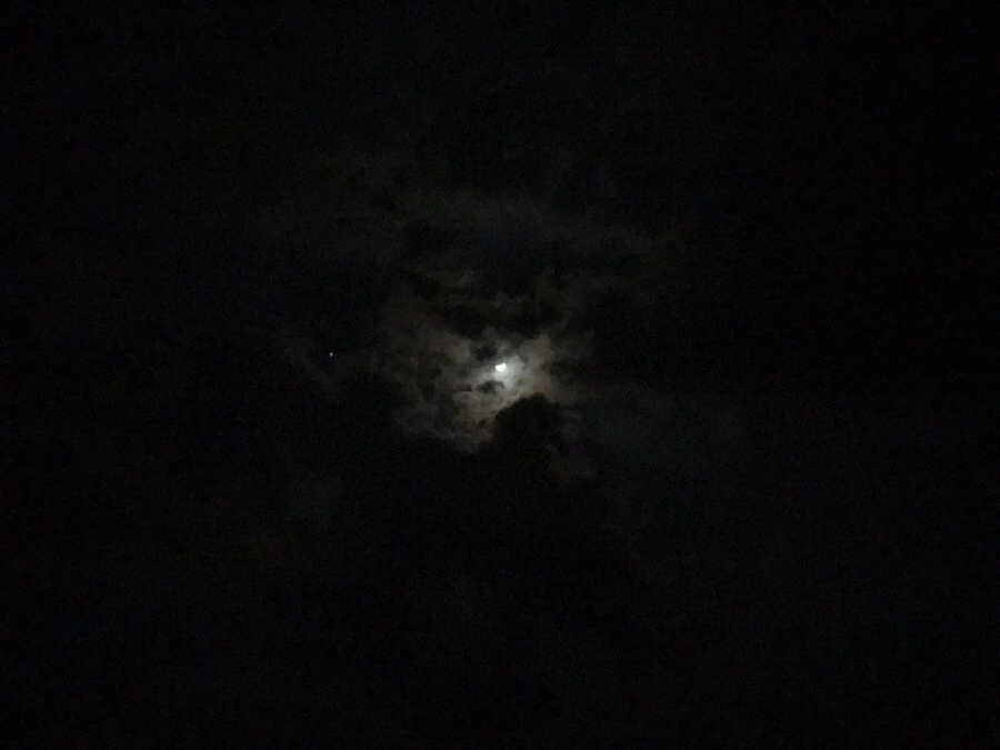 IMG_3552.jpg?type=w966