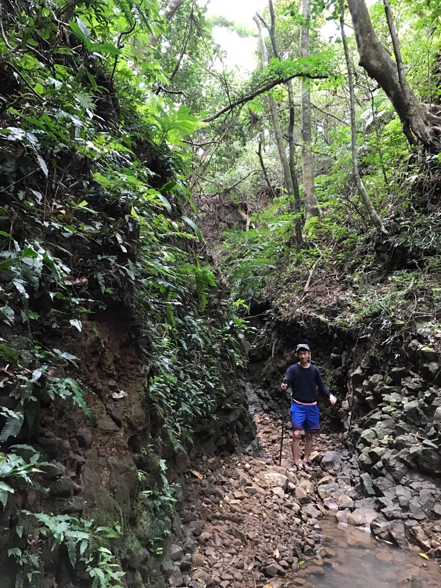 IMG_3656.jpg?type=w966