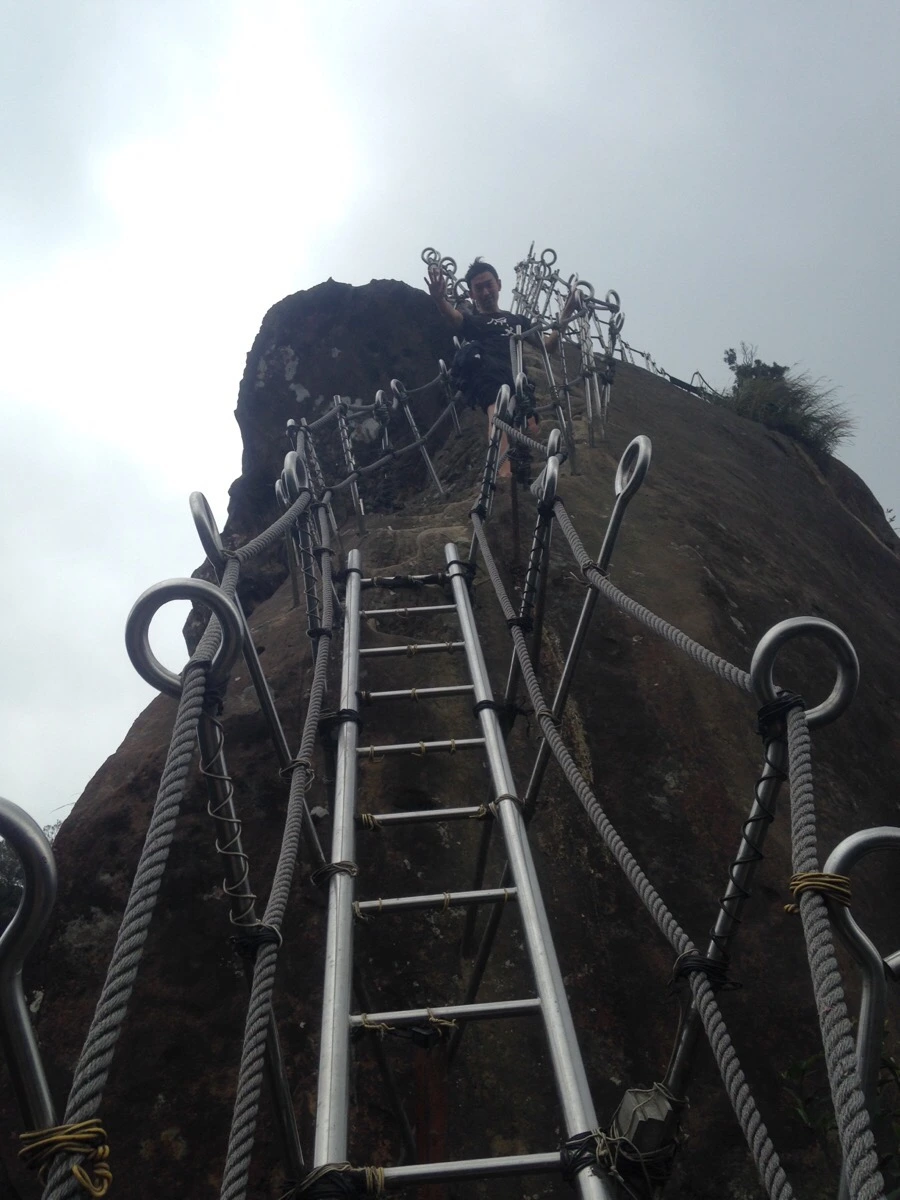 IMG_6956.jpg?type=w966