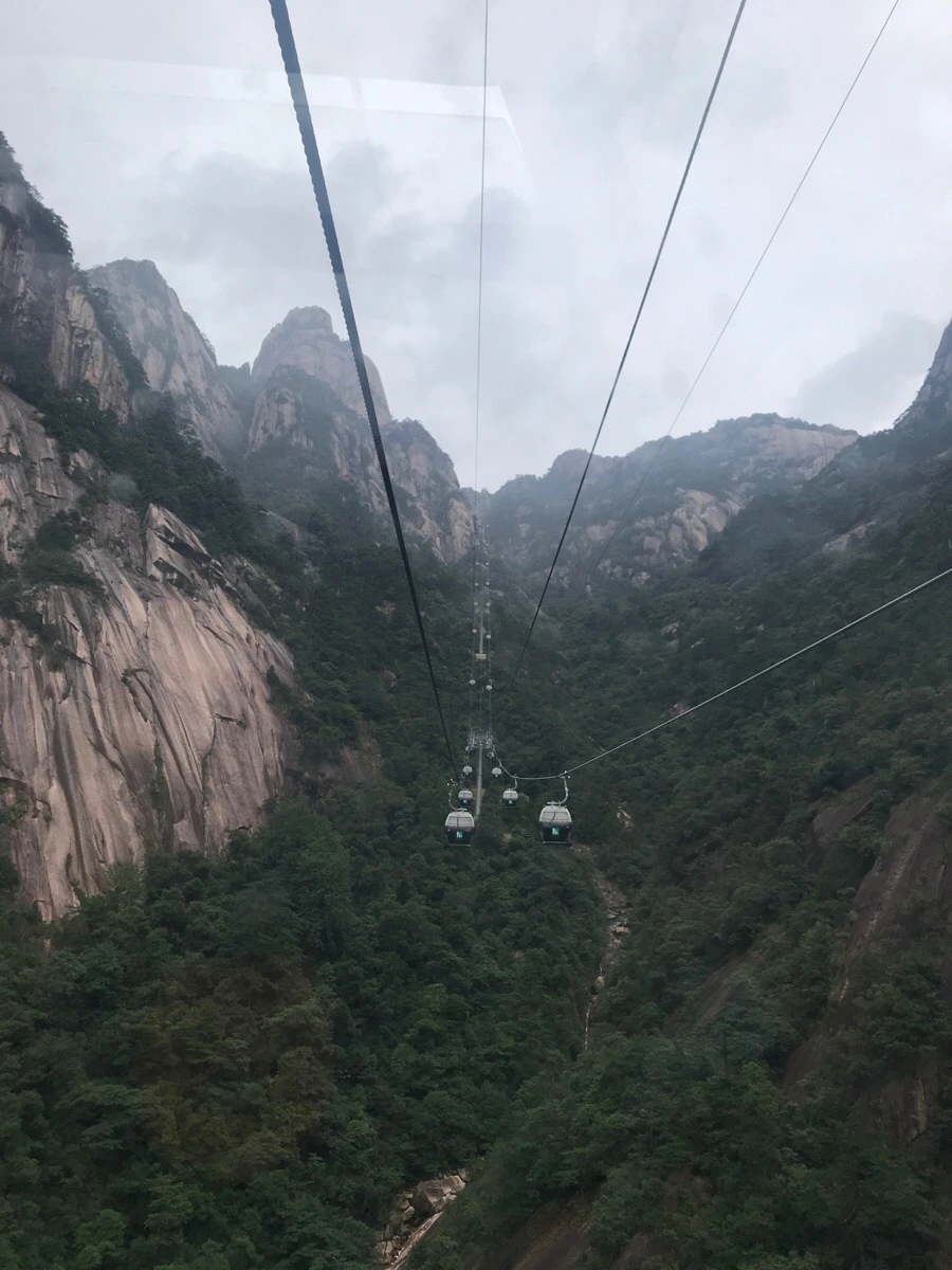 IMG_0949.jpg?type=w966