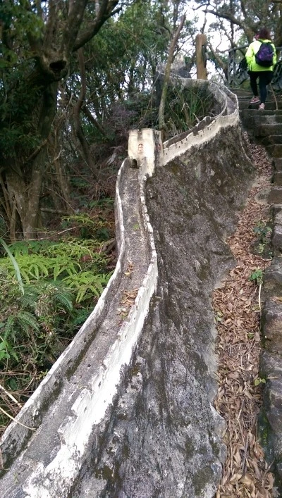 IMAG4166.jpg?type=w2