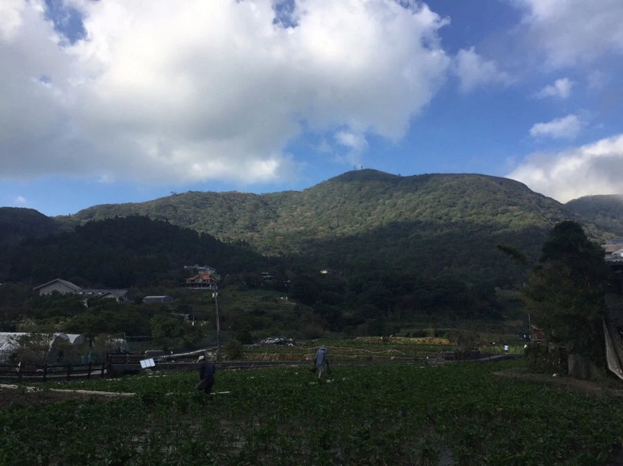 IMG_4206.JPG?type=w966