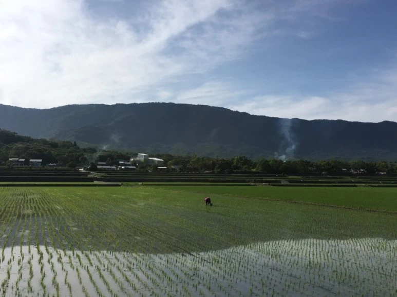 attachImage_3167988106.jpeg?type=w773