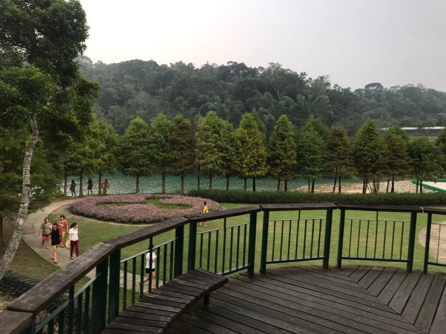 IMG_3071.jpg?type=w966