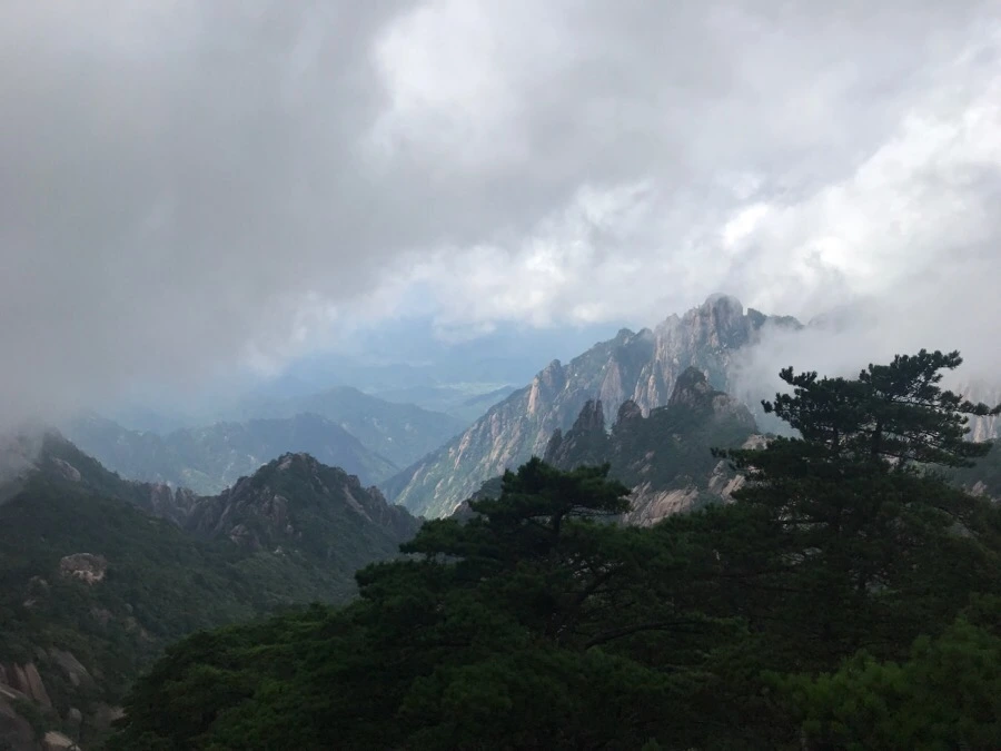 IMG_0808.jpg?type=w966