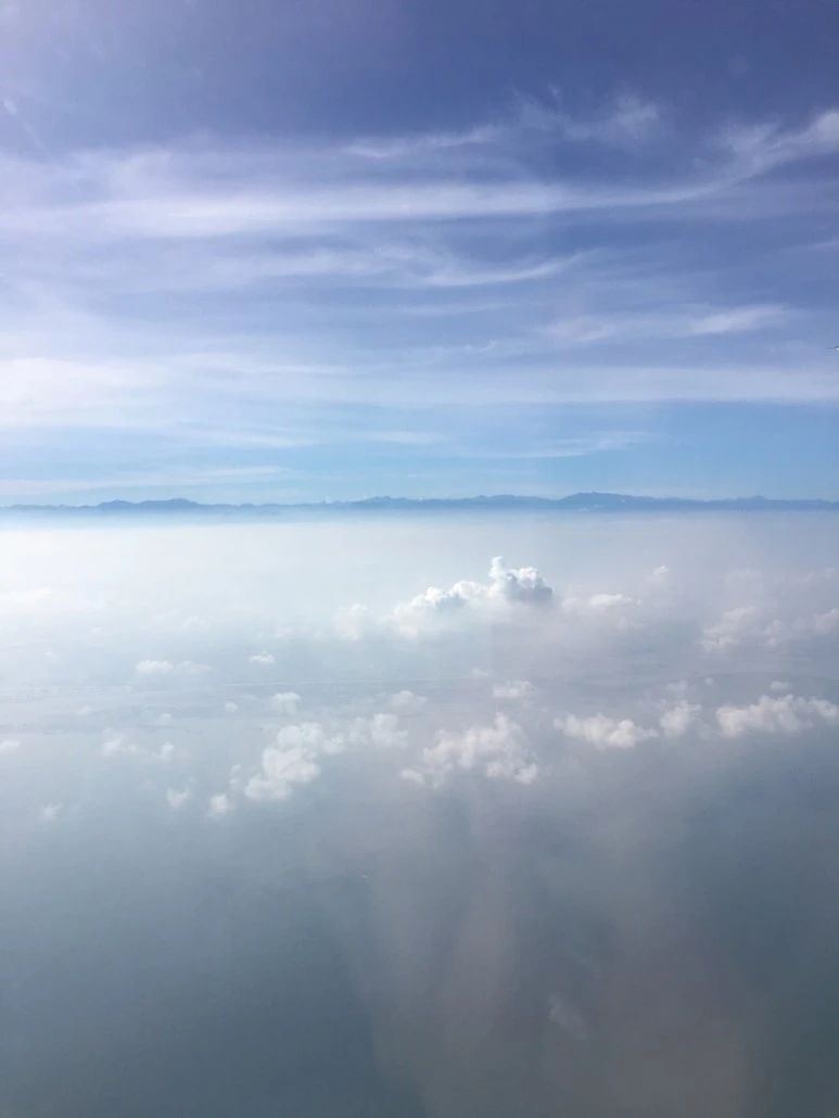 attachImage_596252081.jpeg?type=w773