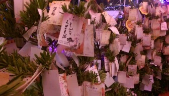 cached868649765.jpg?type=w773