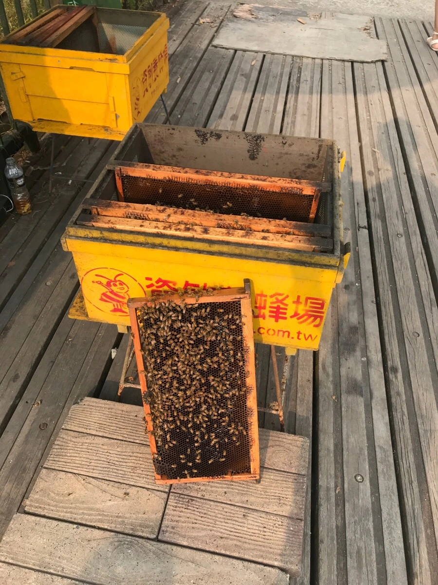 IMG_3005.jpg?type=w966