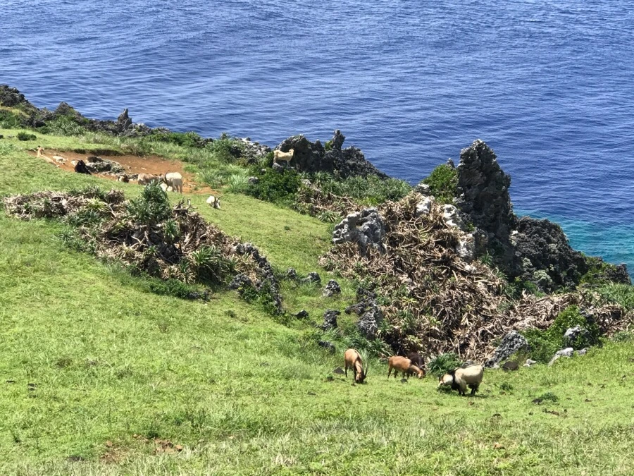 IMG_3933.jpg?type=w966