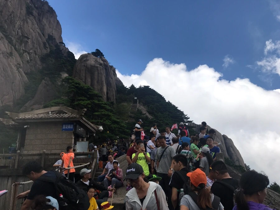 IMG_0863.jpg?type=w966