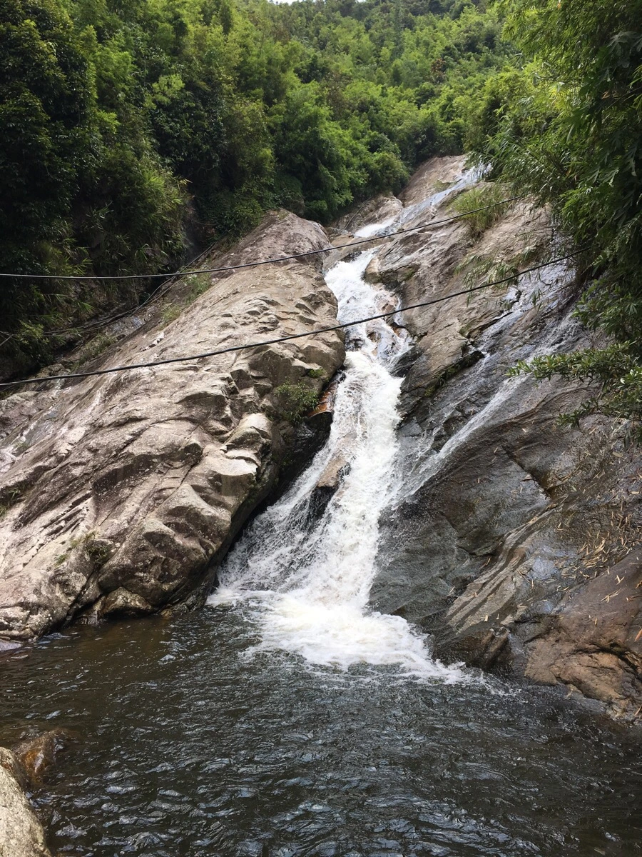 IMG_3581.JPG?type=w1