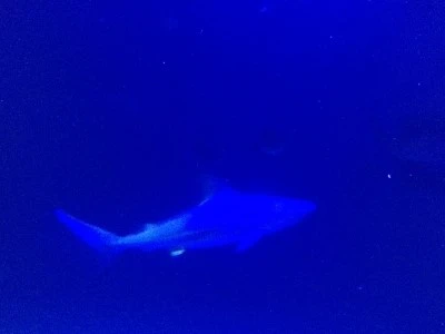 IMG_6122.JPG?type=w2