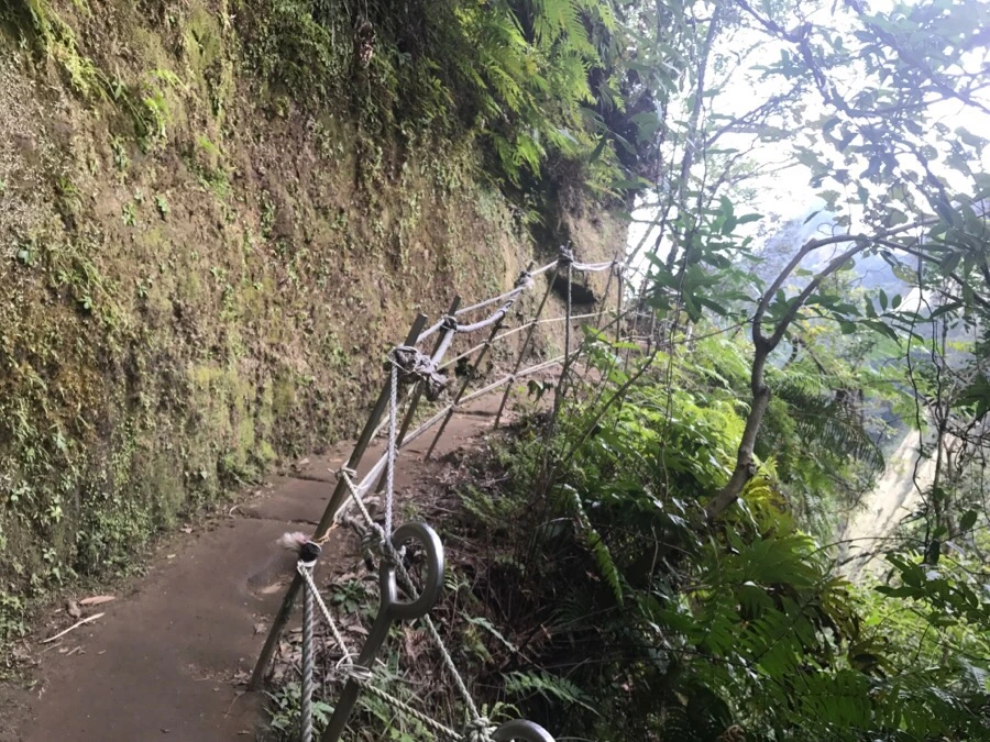 IMG_1061.jpg?type=w966