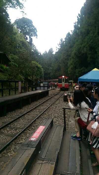 IMAG4959.jpg?type=w773