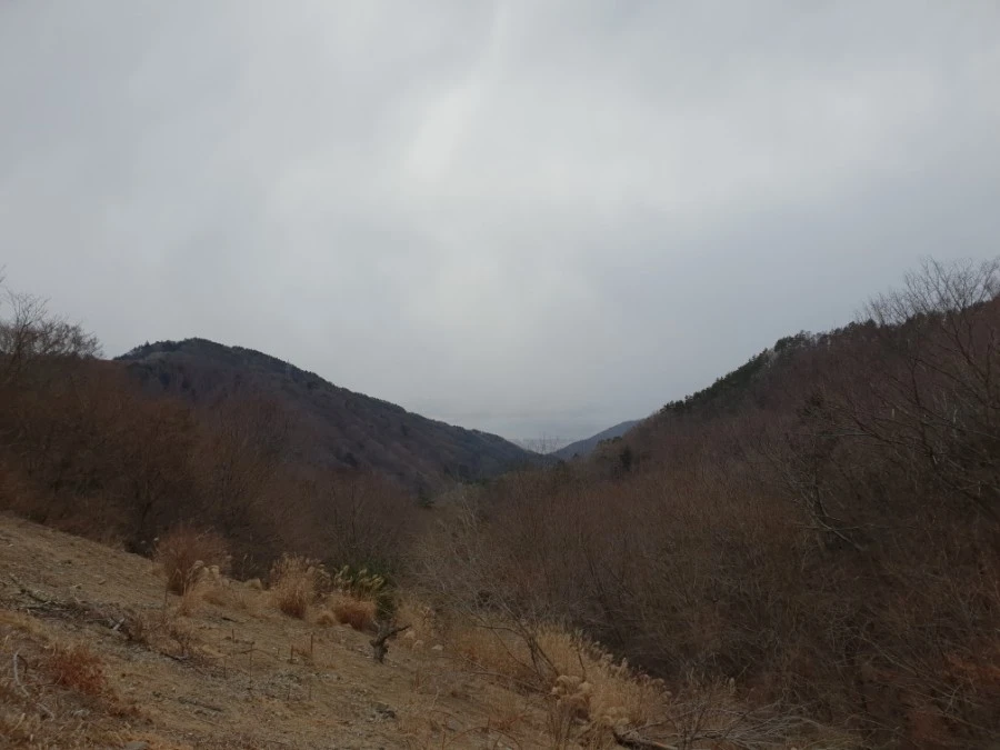 20190126_153707.jpg?type=w1