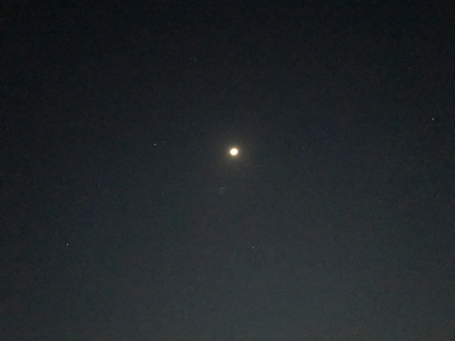 IMG_3517.jpg?type=w966