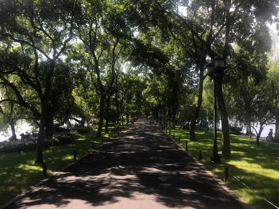 IMG_1169.jpg?type=w1