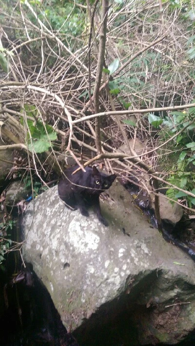 IMAG5981.jpg?type=w773