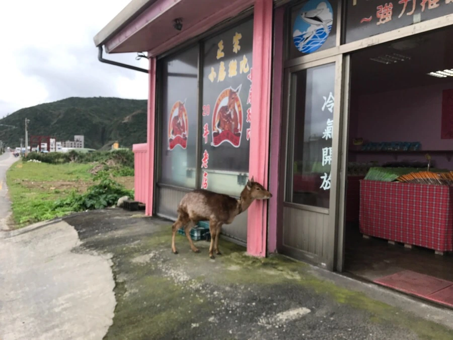 IMG_1751.jpg?type=w966