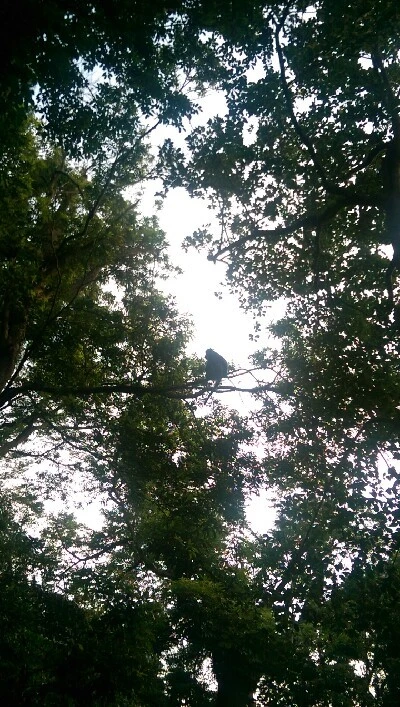 IMAG5997.jpg?type=w773