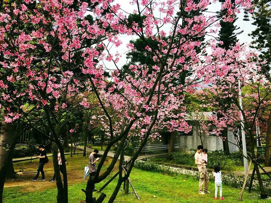 IMG_0050.jpg?type=w966