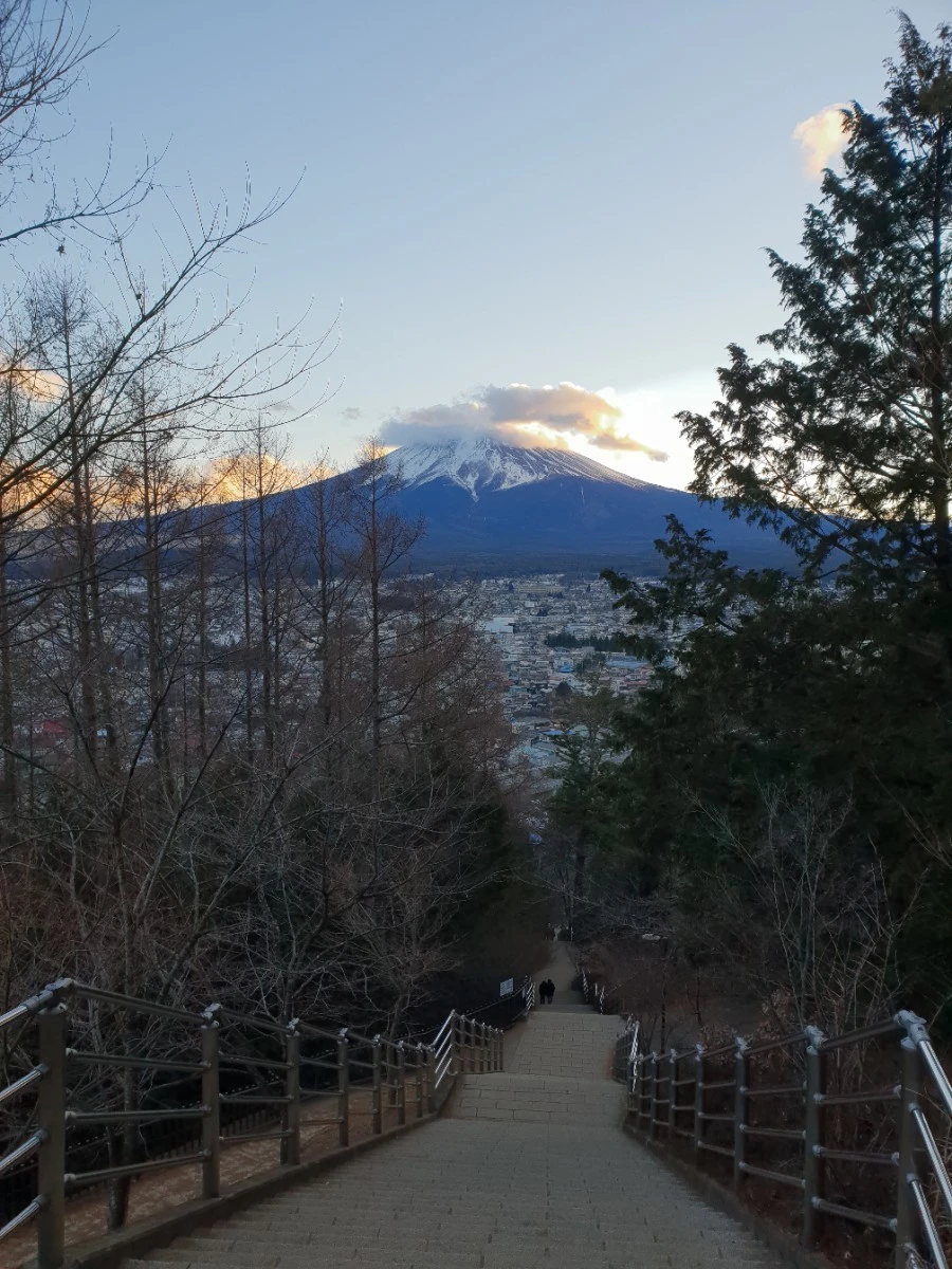 20190126_165021.jpg?type=w1