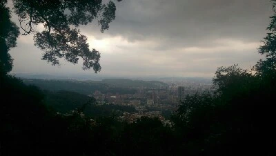 IMAG5983.jpg?type=w773