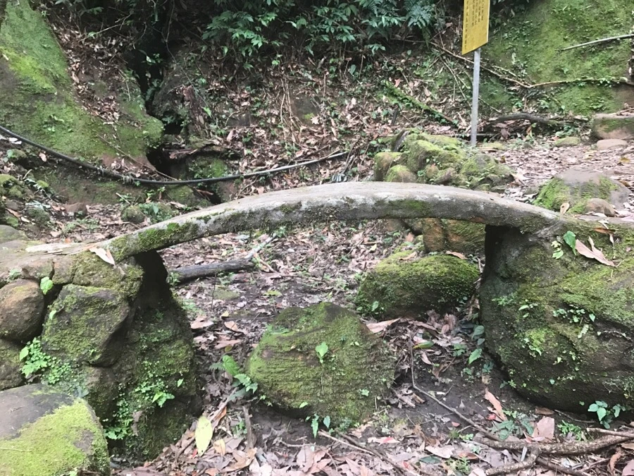 IMG_1043.jpg?type=w966