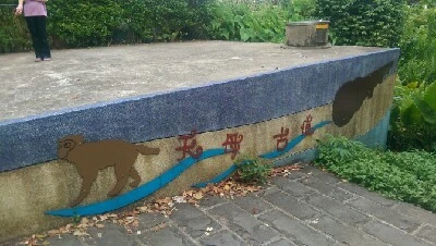 IMAG6011.jpg?type=w773