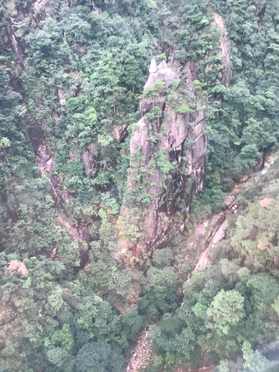 IMG_0701.jpg?type=w966