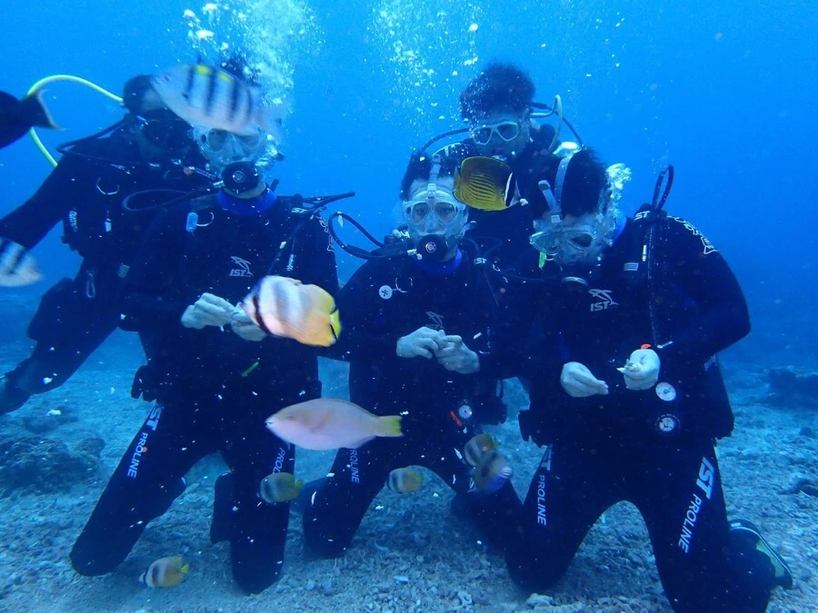 IMG_1827.jpg?type=w966