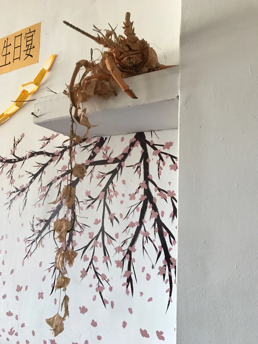 IMG_3446.jpg?type=w966