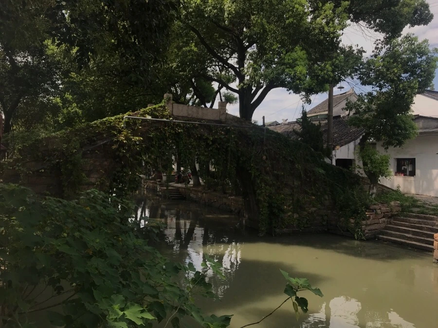 IMG_1414.jpg?type=w1