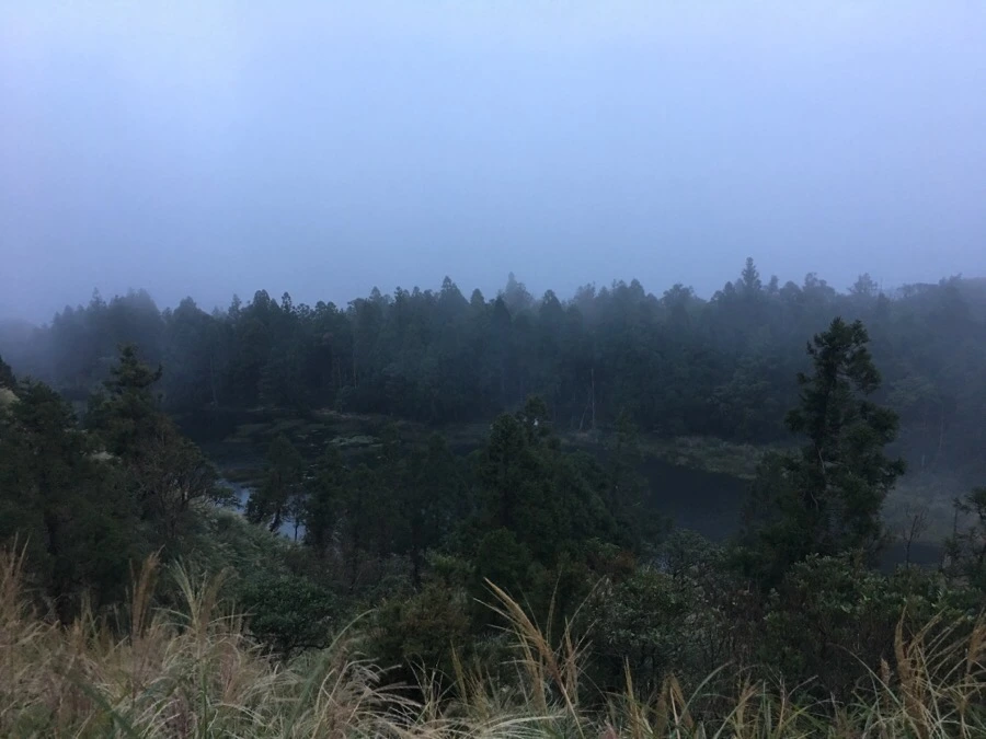 IMG_5416.JPG?type=w966