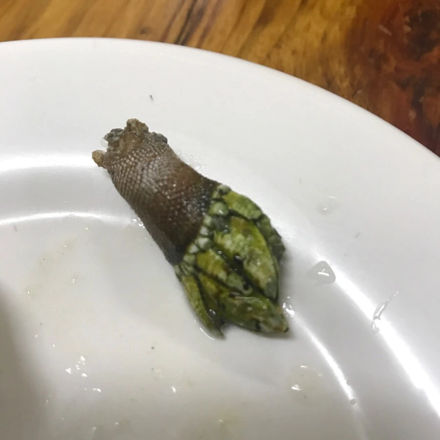 IMG_8283.jpg?type=w966